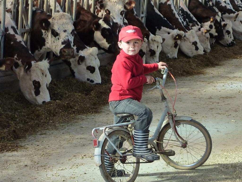 Gite de la Huberderie Quettehou Zimmer foto